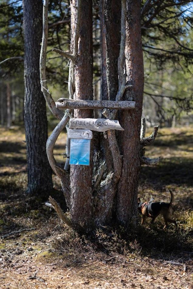 Nordic Lapland Frevisoeren Hotel Båtskärsnäs Eksteriør billede