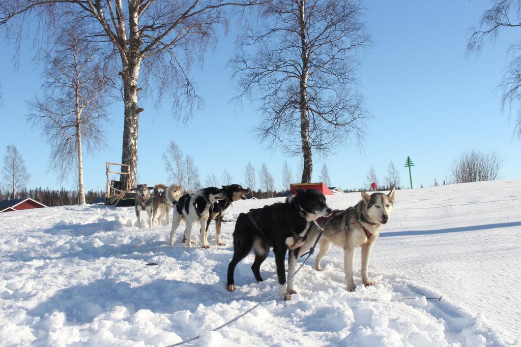 Nordic Lapland Frevisoeren Hotel Båtskärsnäs Eksteriør billede
